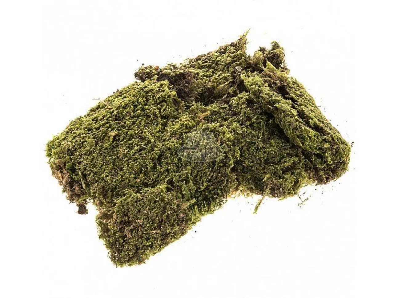 * Mondo Presepistica | Muschio Naturale A Tappeto Per Presepe 350 Gr