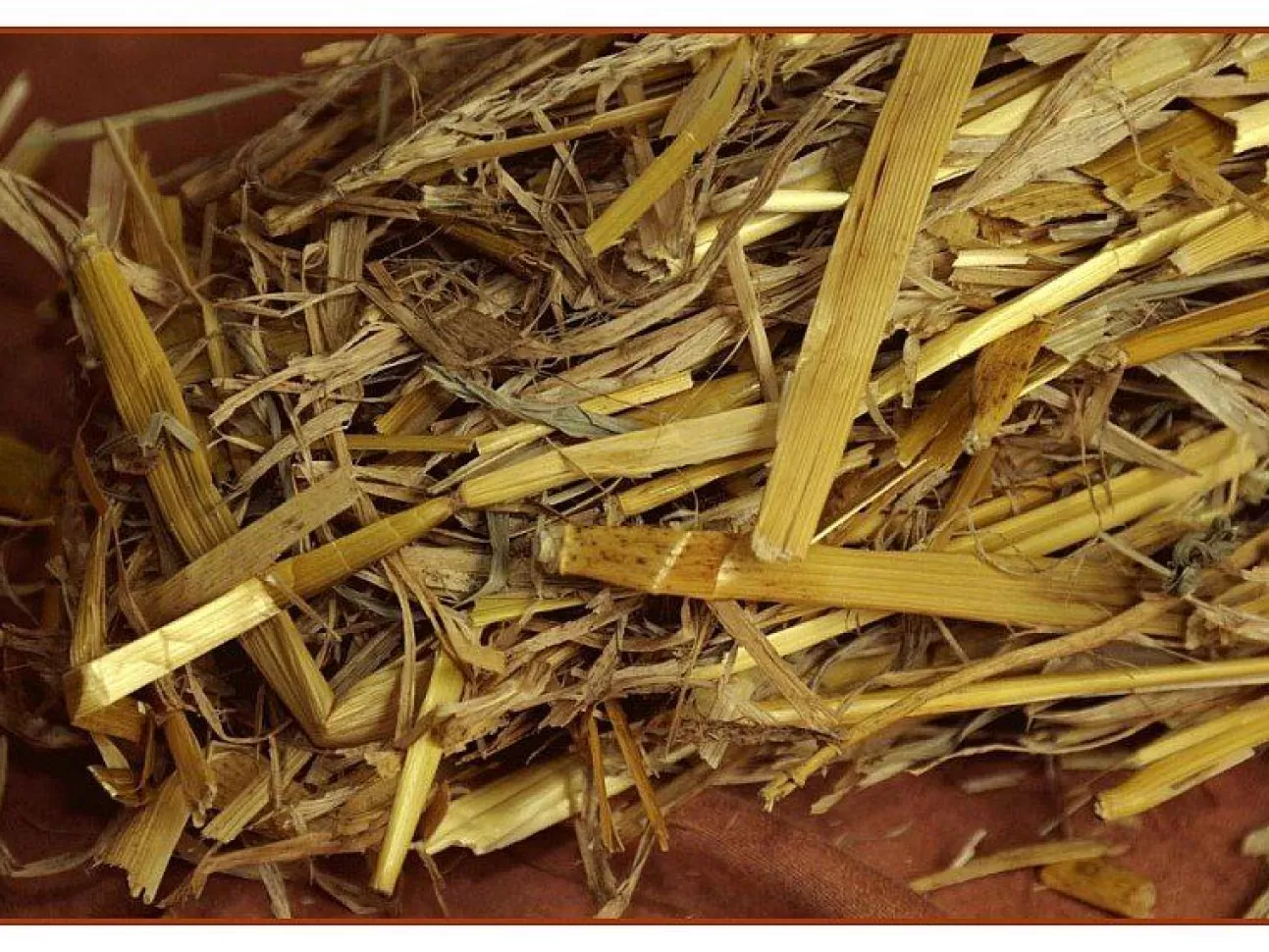 * Mondo Presepistica | Offerta 4 Paglia Naturale Per Presepe 80Gr