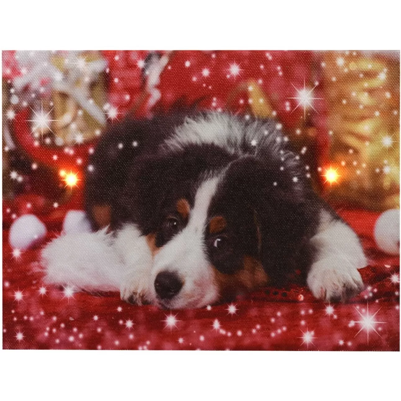 * Luci Di Natale | Quadro Natalizio Con Cagnolino 20X15X2.5Cm Con Microled Bianco Caldo