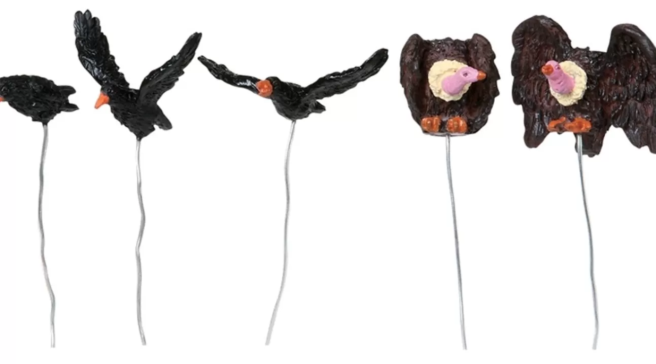 LEMAX Lemax | Uccelli Terrificanti - Assorted Birds, Set Of 5